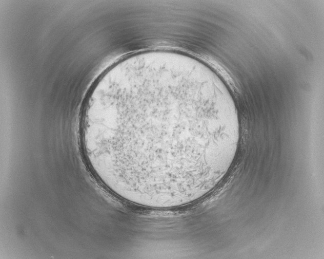 X0000116051142200912181246