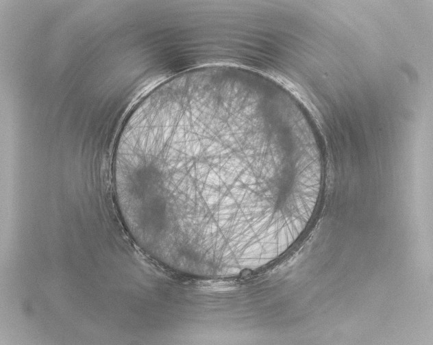 X0000116051145200912181246