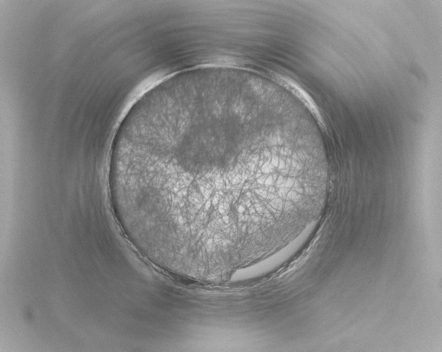 X0000116051146200912181246