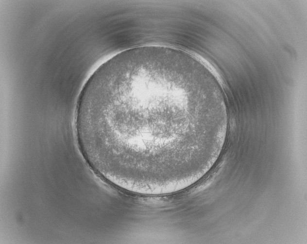 X0000116051149200912181246