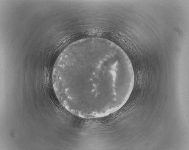 X0000116051154200912181245