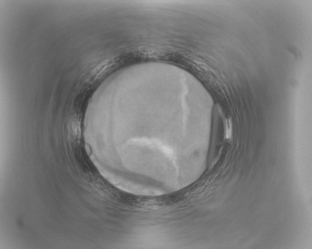 X0000116051155200912181245