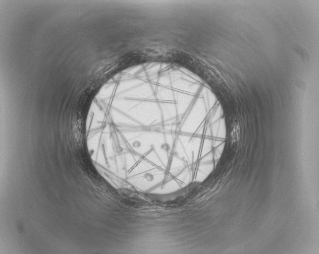 X0000116051156200912181245