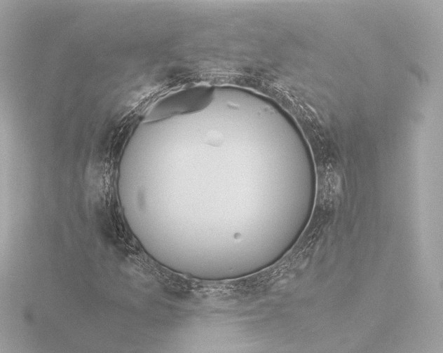 X0000116051157200912181245