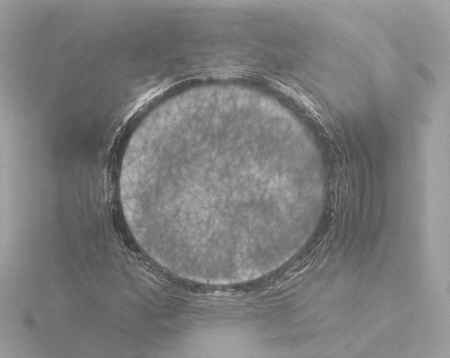 X0000116051160200912181245