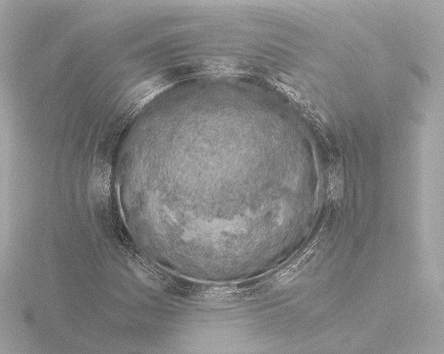 X0000116051161200912181245