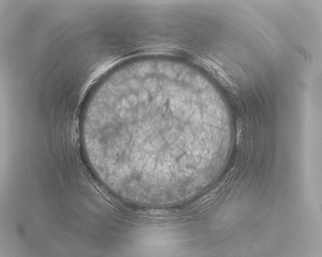 X0000116051164200912181245