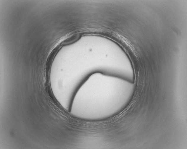 X0000116051165200912181245