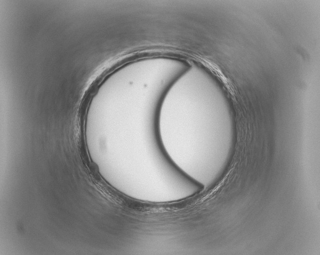 X0000116051167200912181245