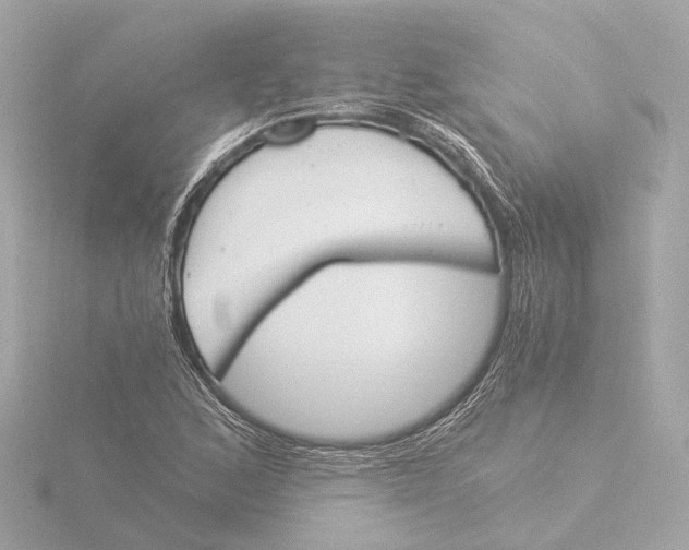 X0000116051168200912181245