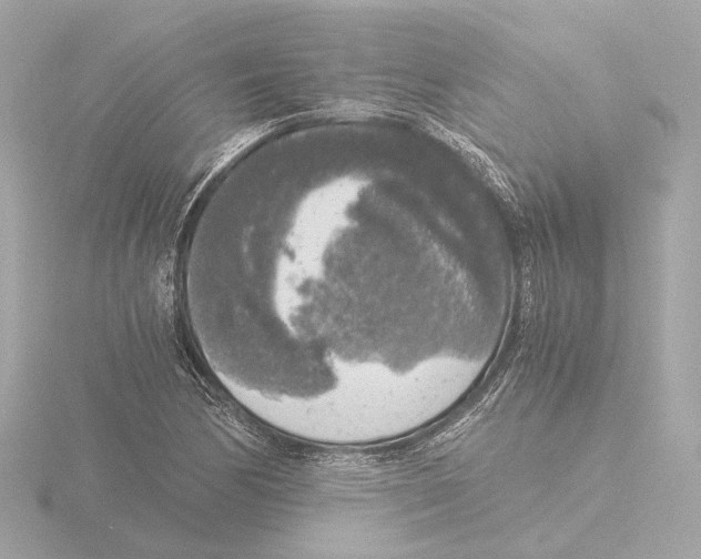 X0000116051170200912181245