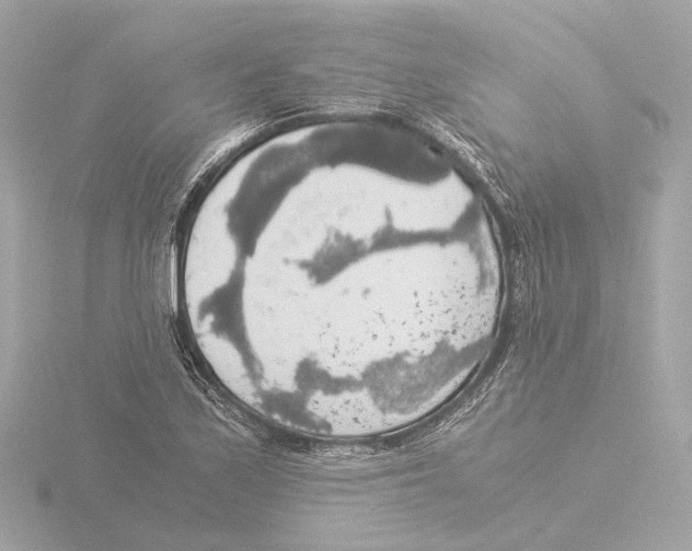 X0000116051171200912181245