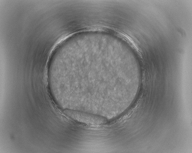 X0000116051172200912181245