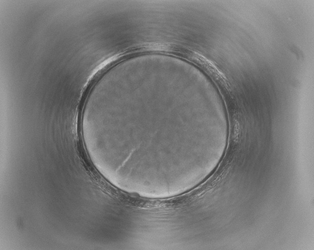 X0000116051174200912181245