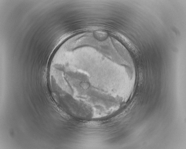 X0000116051178200912181245