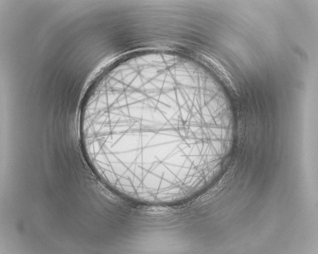 X0000116051180200912181245