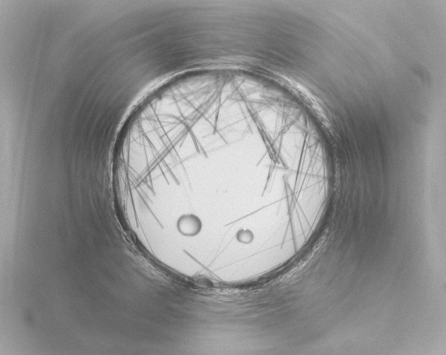 X0000116051184200912181245