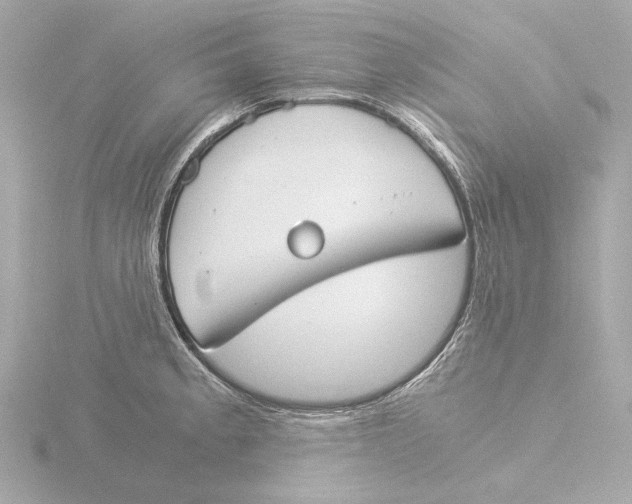 X0000116051189200912181245