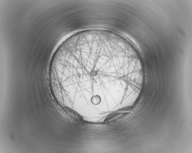 X0000116051192200912181245