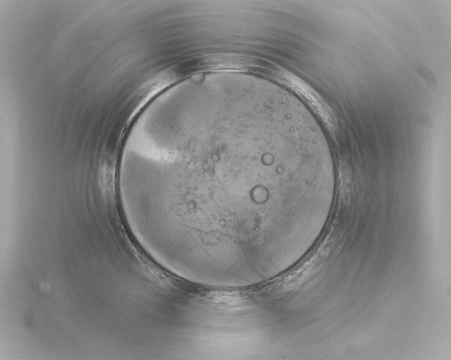 X0000116051194200912181245