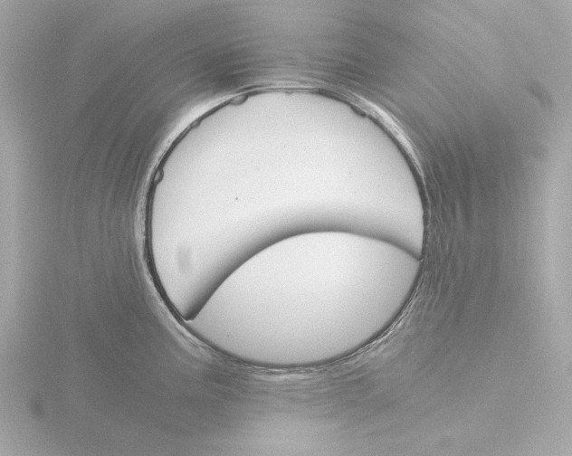 X0000116051195200912181245