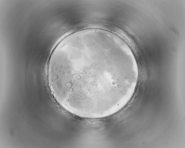 X0000116051198200912181245