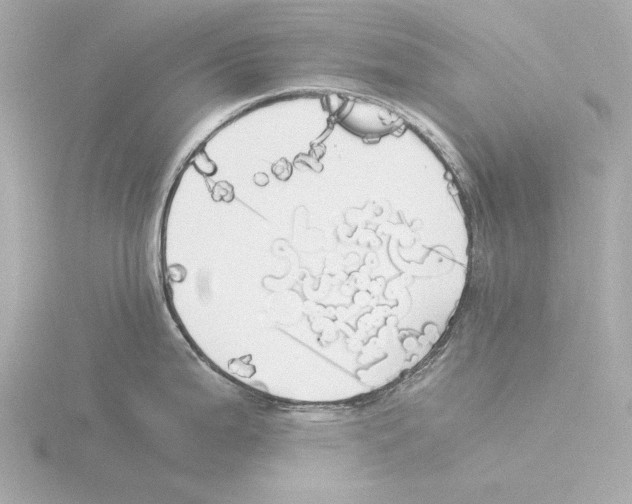 X0000116051199200912181245