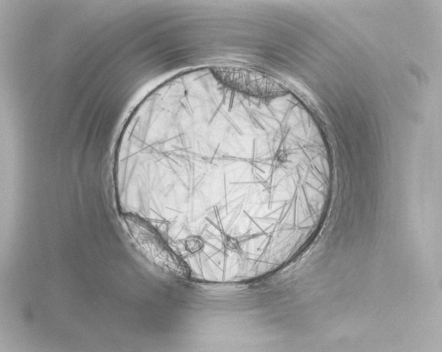 X0000116051200200912181245