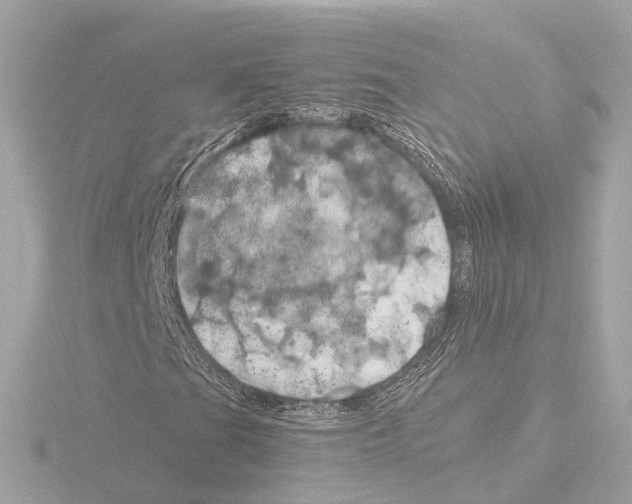 X0000116051201200912181244