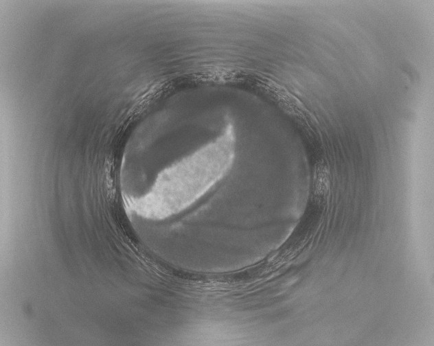 X0000116051202200912181244