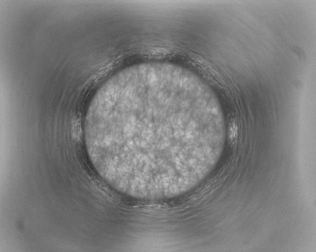 X0000116051204200912181244