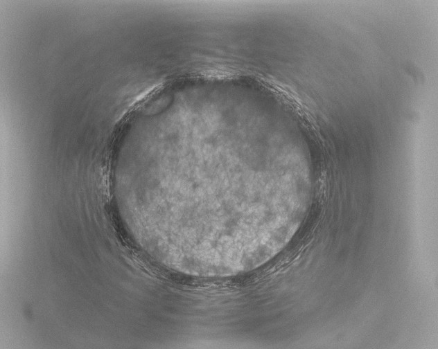 X0000116051205200912181244