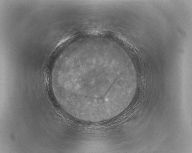 X0000116051206200912181244