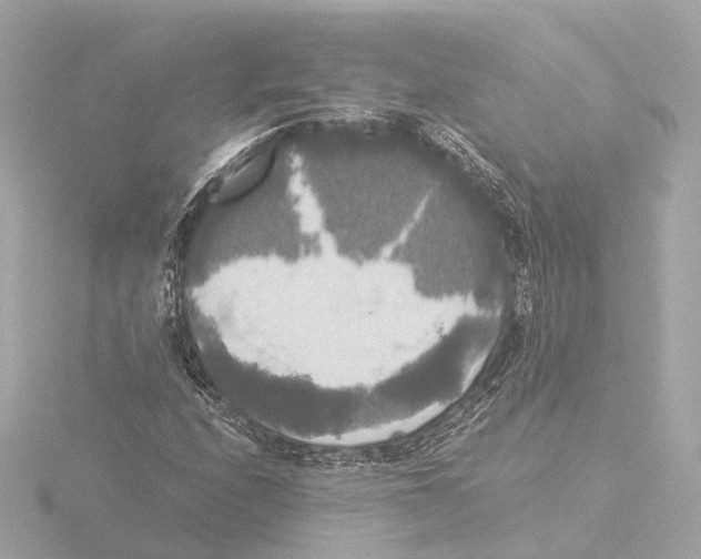 X0000116051208200912181244