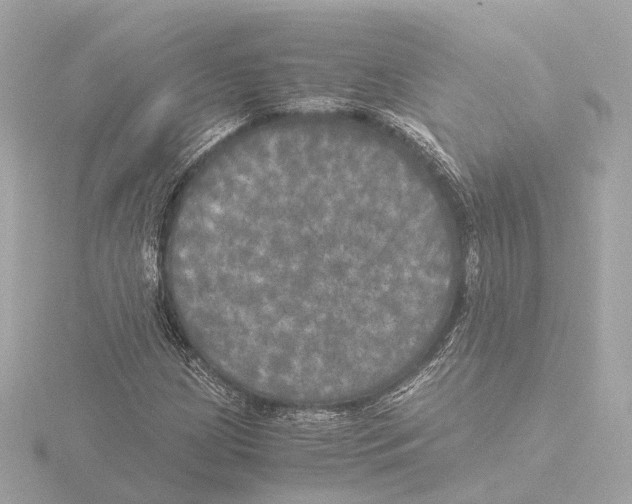 X0000116051209200912181244