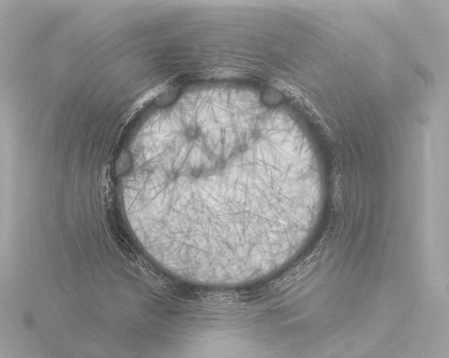 X0000116051210200912181244