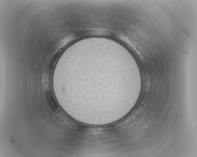 X0000116051211200912181244