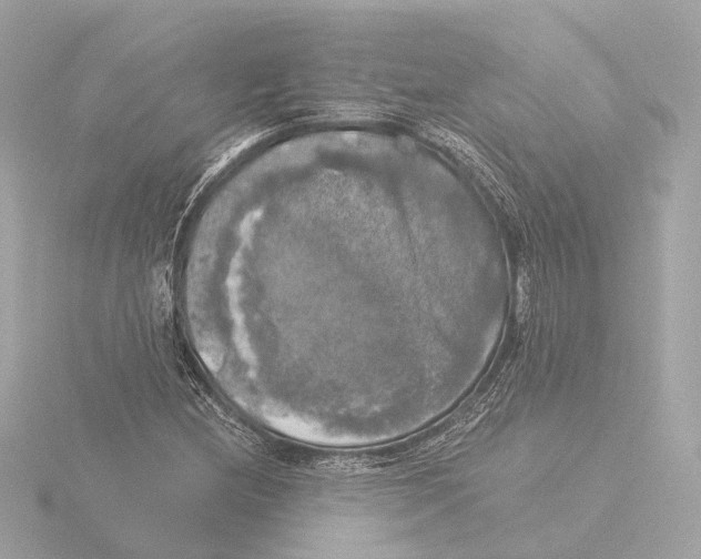 X0000116051212200912181244