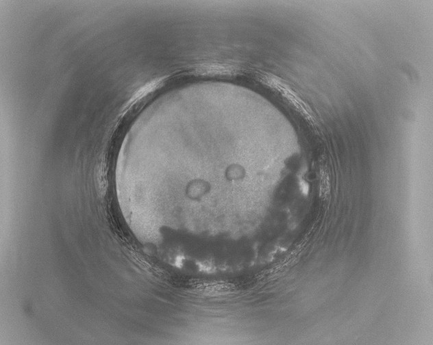 X0000116051213200912181244