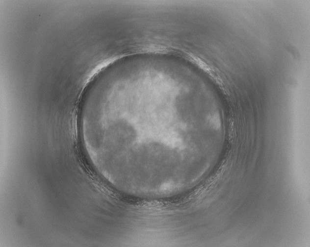 X0000116051214200912181244