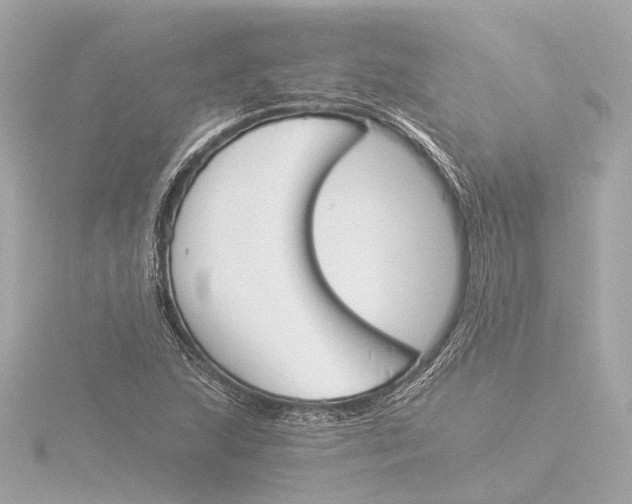 X0000116051215200912181244