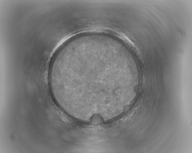 X0000116051216200912181244