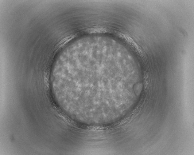 X0000116051217200912181244