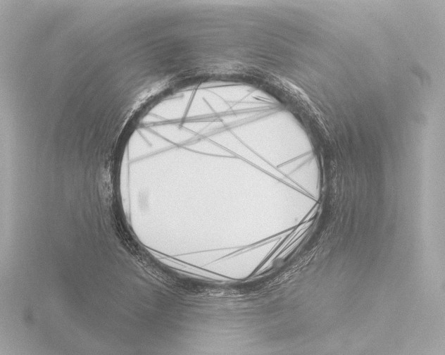 X0000116051218200912181244