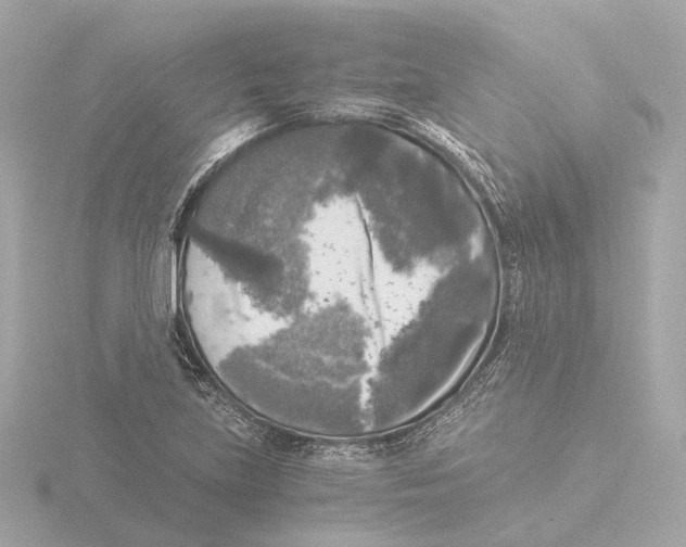 X0000116051219200912181244