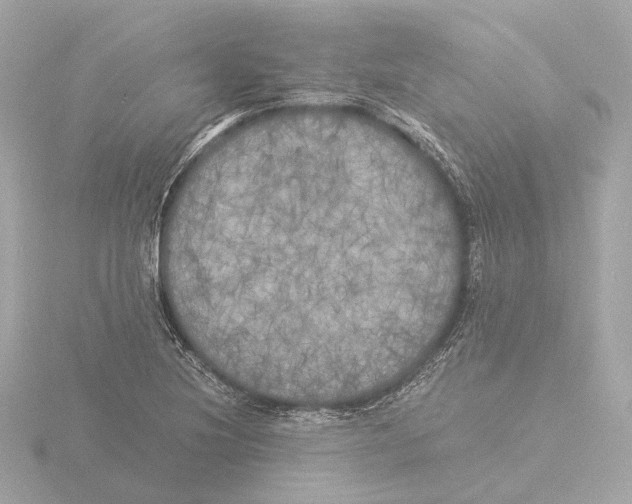 X0000116051220200912181244