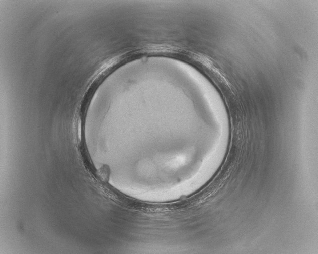 X0000116051221200912181244