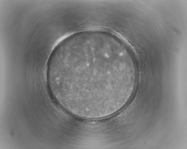 X0000116051222200912181244