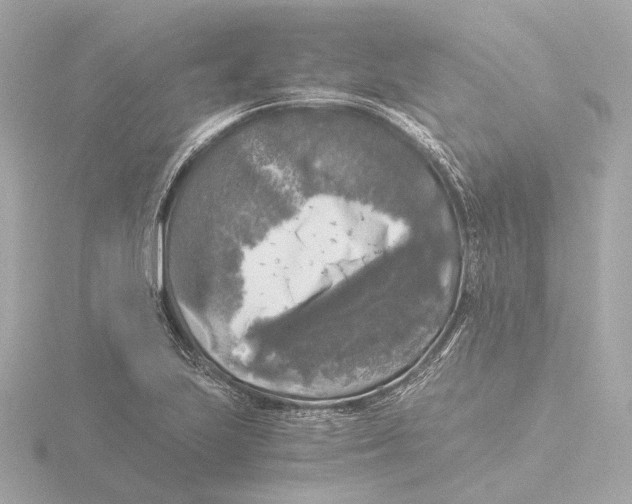 X0000116051223200912181244