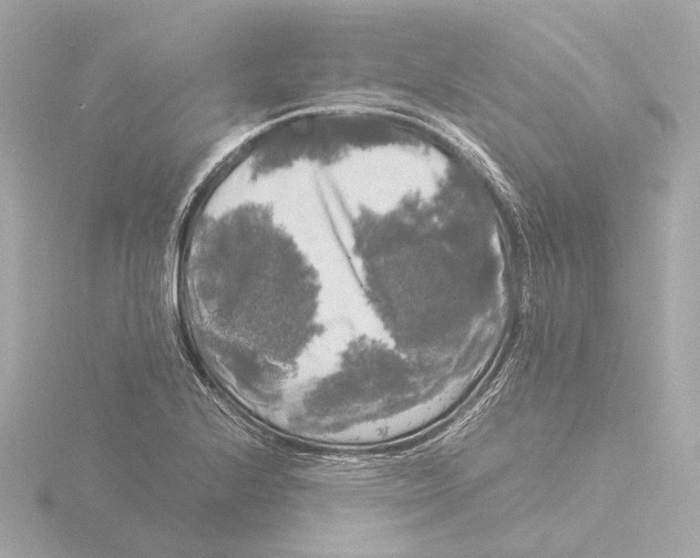 X0000116051224200912181244